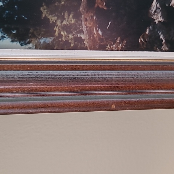 VINTAGE FRAMED PHOTOGRAPHY ART 'Hokitika Gorge' by Ulrich Walthert 1984 - Picture 6 of 12